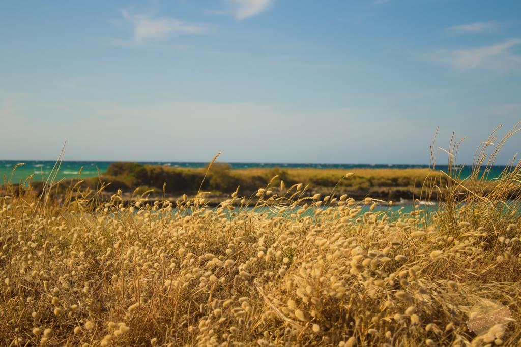 Вілла Borgo Degli Artisti Остуні Екстер'єр фото